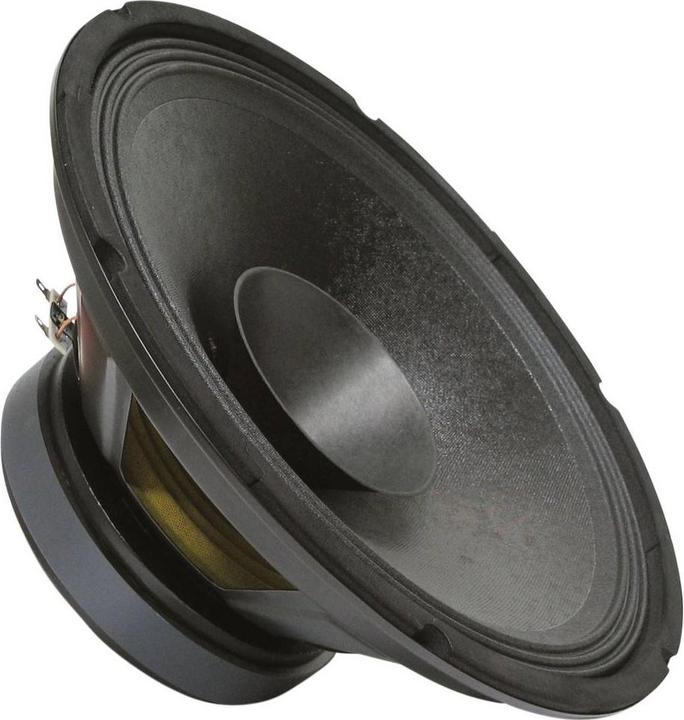Actual product image Rockwood Blank PA Bass Fullrange 300 mm Guitar Speaker (1 pcs.)