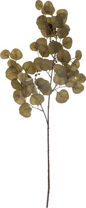 Produktbild Bloomingville Eucalyptus (86 cm)