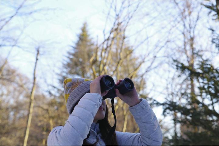 Immagine prodotto Pentax Binocolo Jupiter 10x50 (10 x, 50 mm)