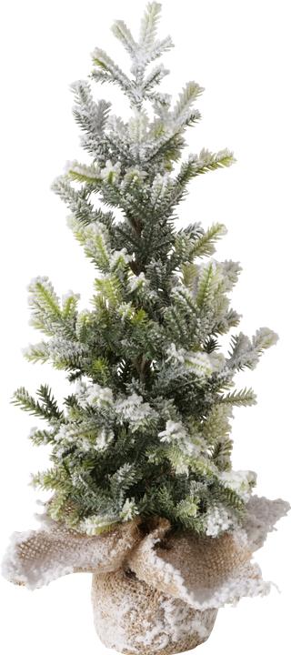 Produktbild Boltze Home Tanne (40 cm)