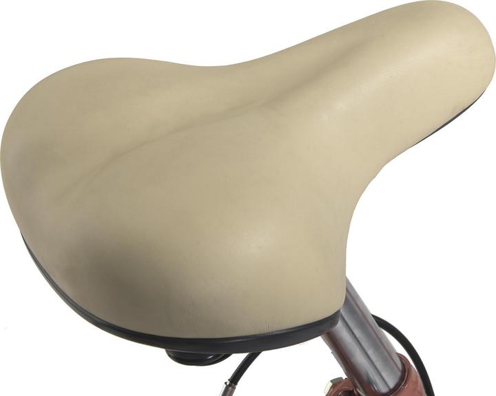 Actual product image Hollandia Dutch bike ladies 28" Feelgood Singlespeed RH 53 cm (53 cm)