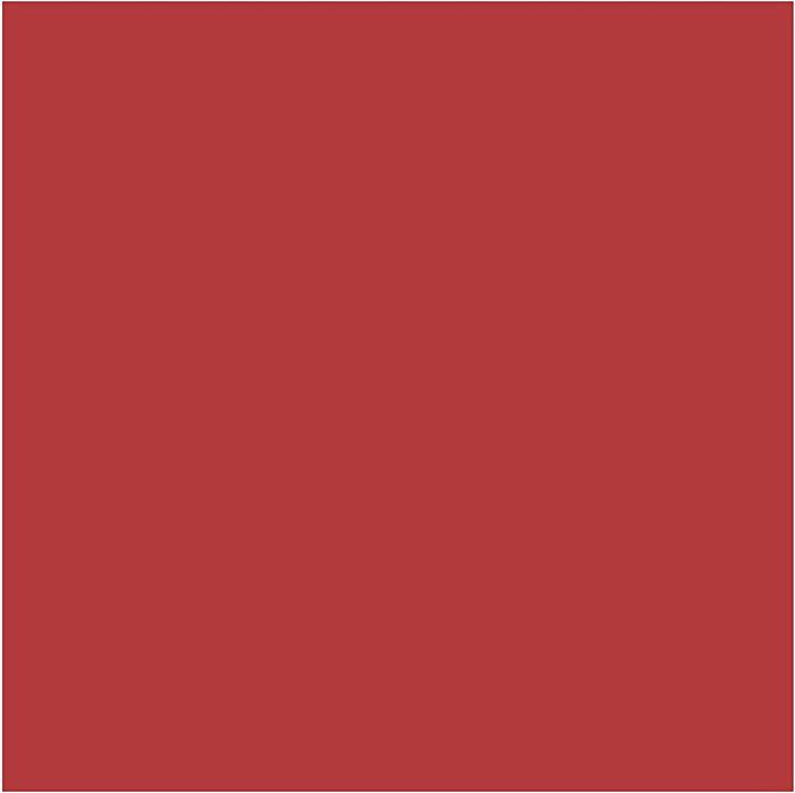 Image du produit Creativ Company Carton photo A4 rouge (220 g/m², 10 x)