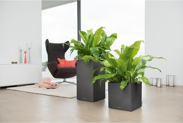 Actual product image Lechuza Canto (40 cm)