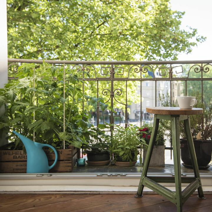 Image du produit Relaxdays 6x sacs sous vide