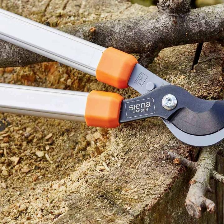 Produktbild Siena Garden Baumschere
