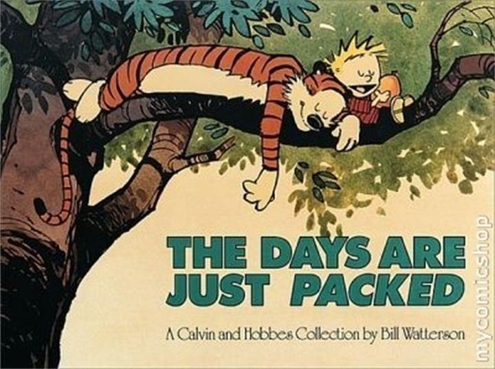 Produktbild WB The Days Are Just Packed (Englisch, Bill Watterson, 2005)