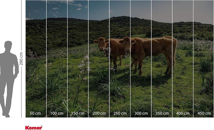 Productafbeelding Komar Vliesbehang Cow Paradise 9 panelen 450 x 280 cm (450 x 280 cm)