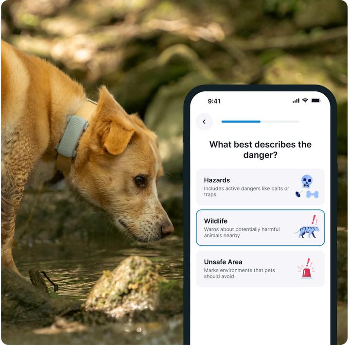 Immagine prodotto Tractive GPS Tracker Dog 6 (Cane)