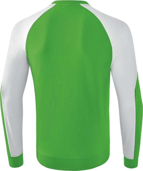 Actual product image Erima Essential 5-C Sweatshirt (L)