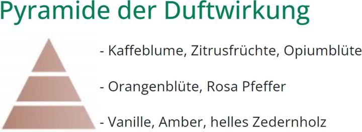 Produktbild Maison Berger Velvet of Orient (500 ml)