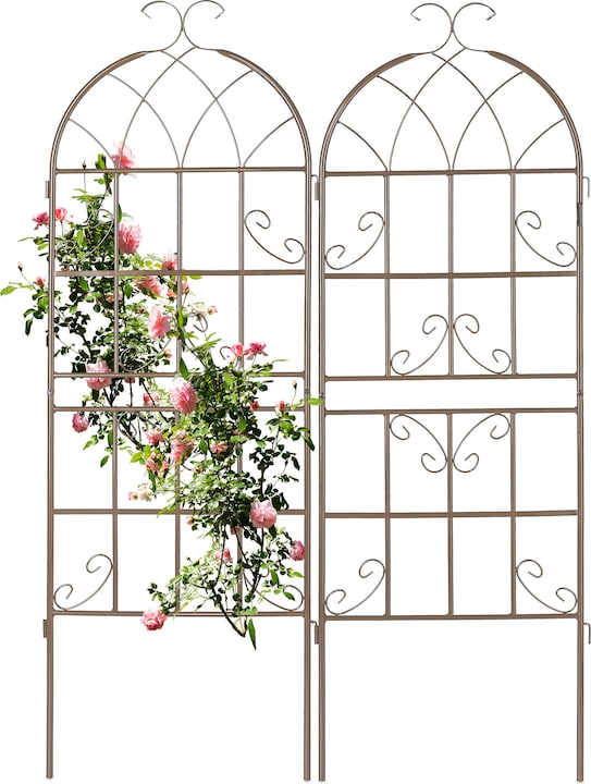 Actual product image Relaxdays 2x trellis (2 cm, 50 cm)