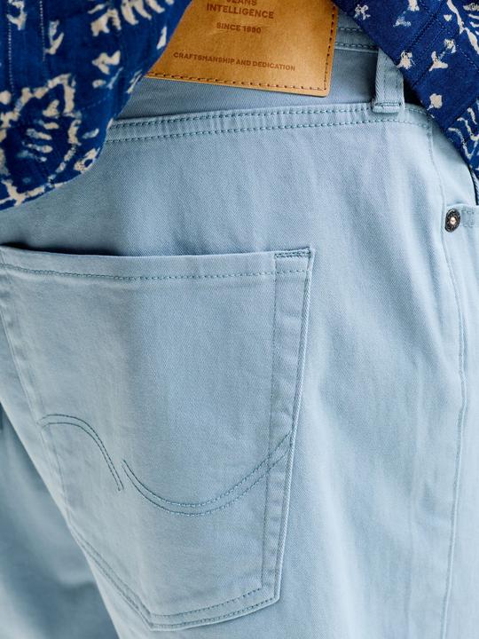 Image du produit Jack & Jones Regular Fit Shorts Shorts (S)