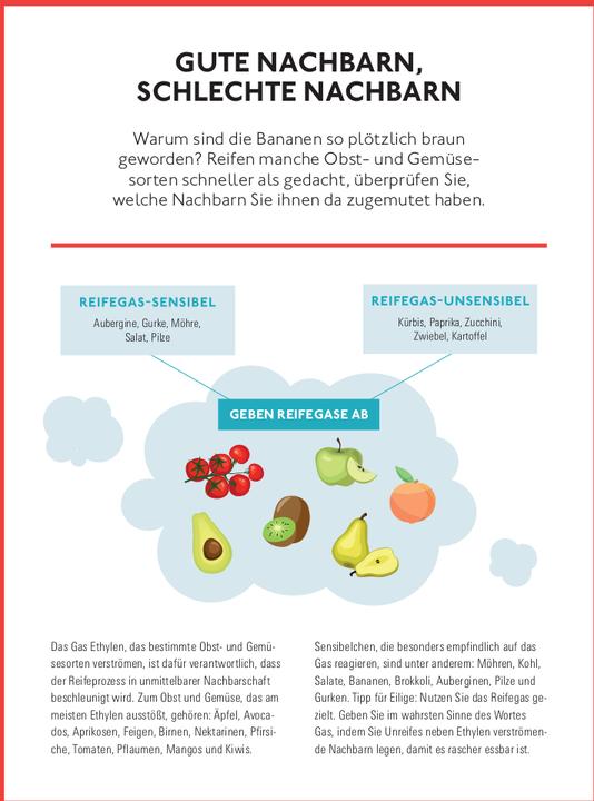 Actual product image Der Haushalts-Check (German, Andreas Löbbers, 2024)