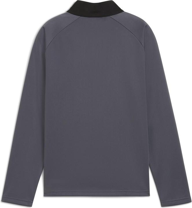 Image du produit Puma IndividualLIGA 1/4 Zip Top Jr (152)