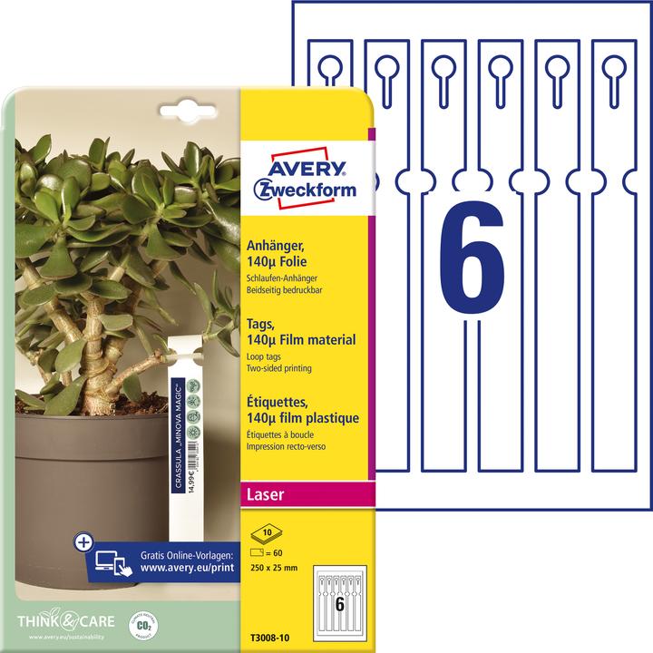 Actual product image Avery Loop pendant