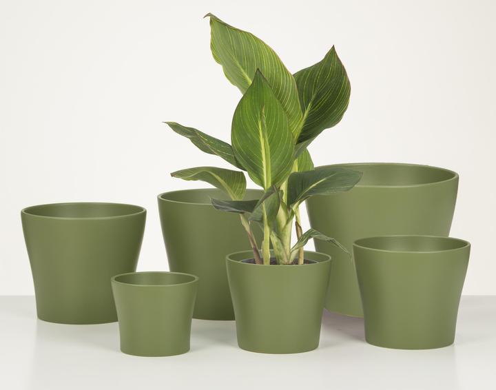Actual product image Scheurich Ceramic planter (13 x 11.20 cm)