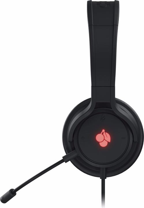 Actual product image CHERRY HC 2.2 (Cable)