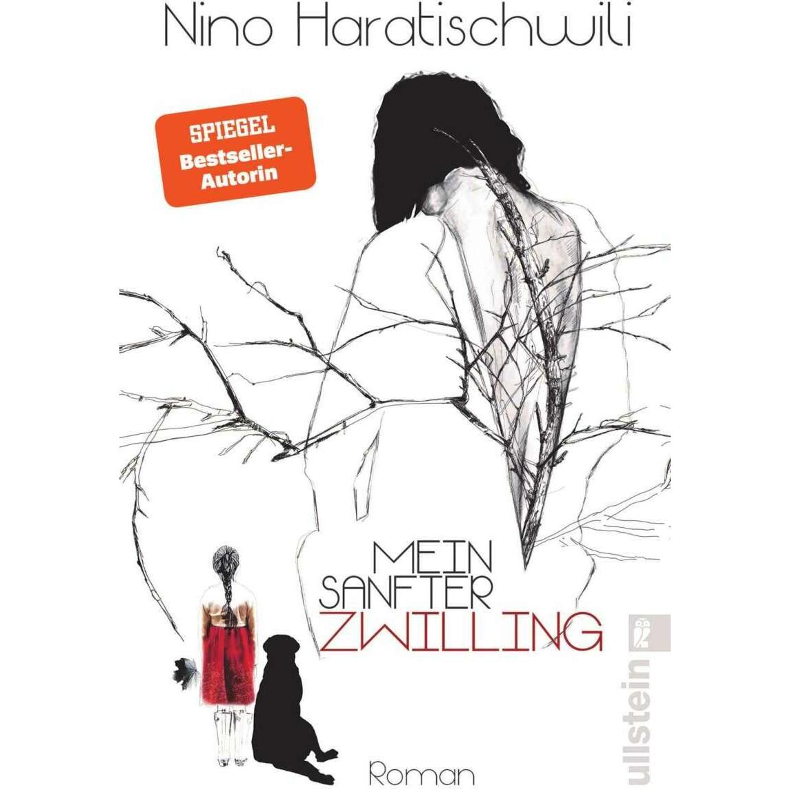 Mein sanfter Zwilling, Belletristik von Nino Haratischwili