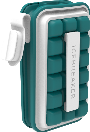 Actual product image Icebreaker Nordic: Pop