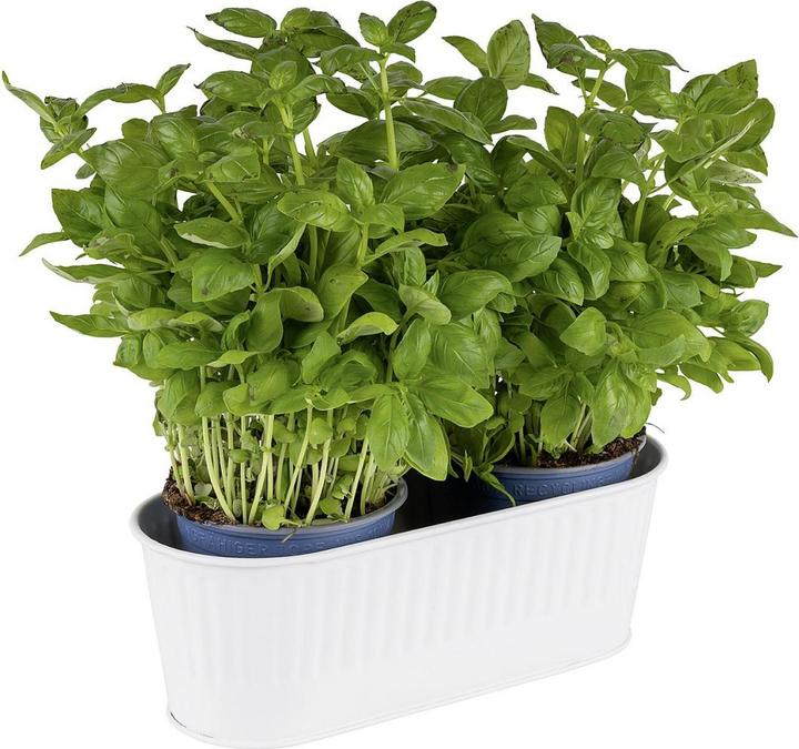 Productafbeelding APS UTENSILO" bestekbak/mand