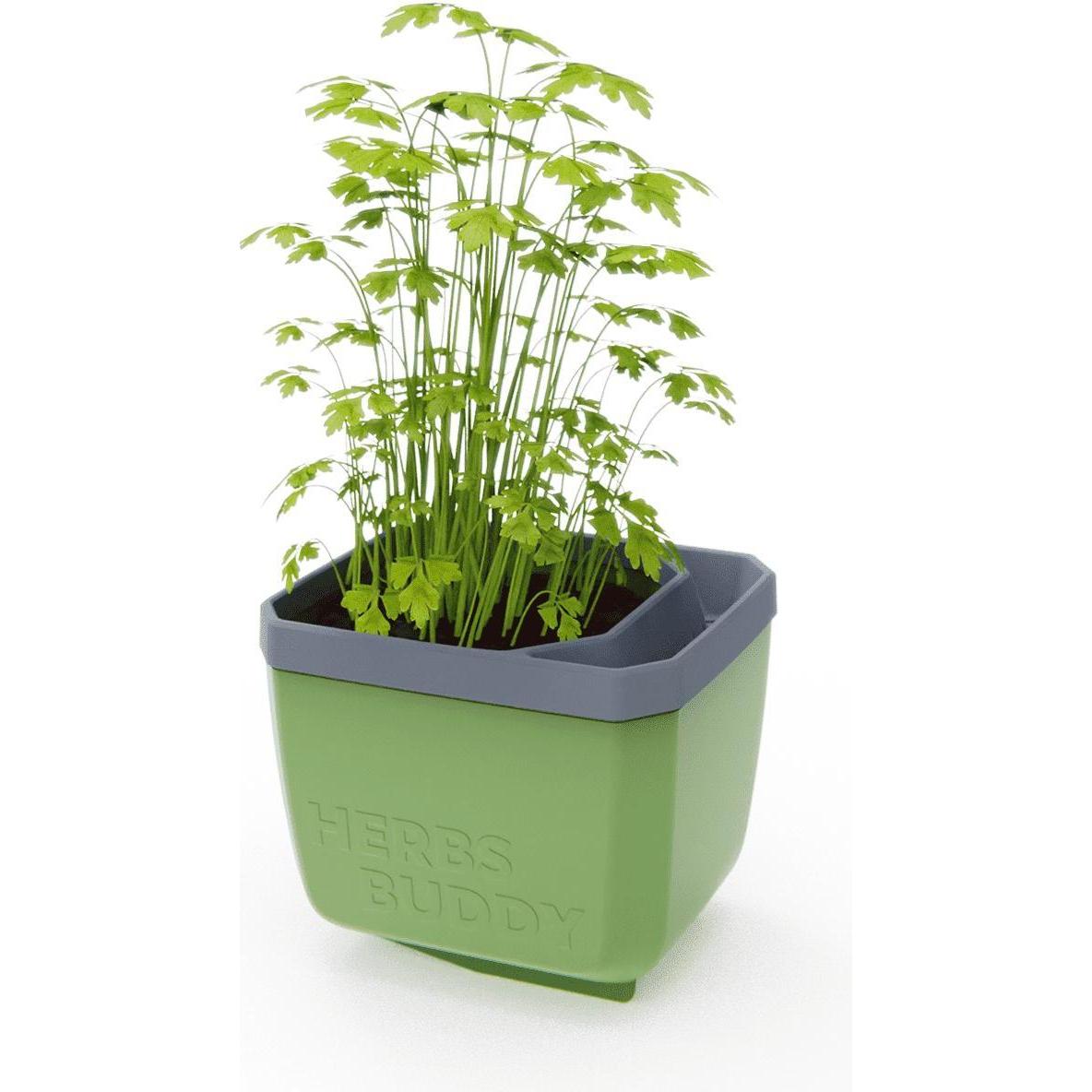 Thumbnail - Gusta Garden, Blumentopf, HERBS BUDDY Kräutertopf Dunkelgrün (16.30 cm)