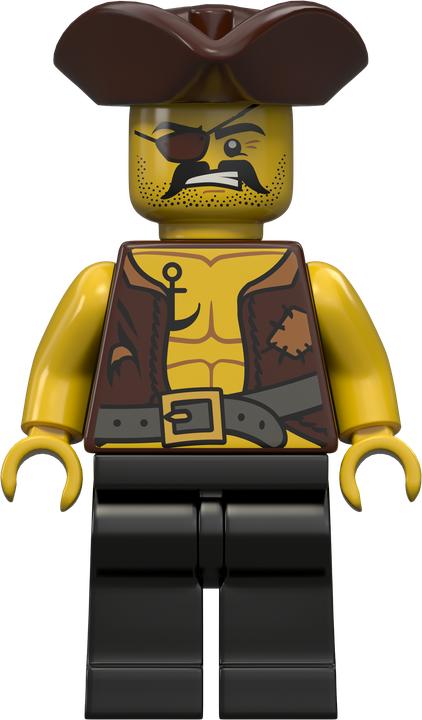 Actual product image LEGO Pirates The Brick Bounty (70413)