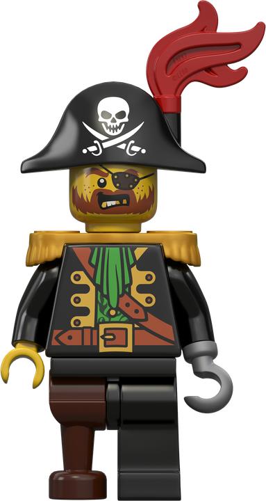 Actual product image LEGO Pirates The Brick Bounty (70413)
