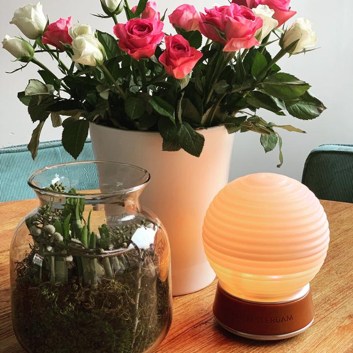 Immagine prodotto Nikki.Amsterdam Il Diffusore - Vaporizzatore di aromi e oggetto decorativo multicolore 22,5 cm (200 ml)