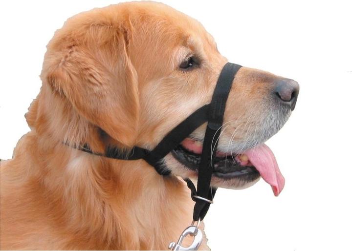 Actual product image Nobby Easy Leader (2, Dog)