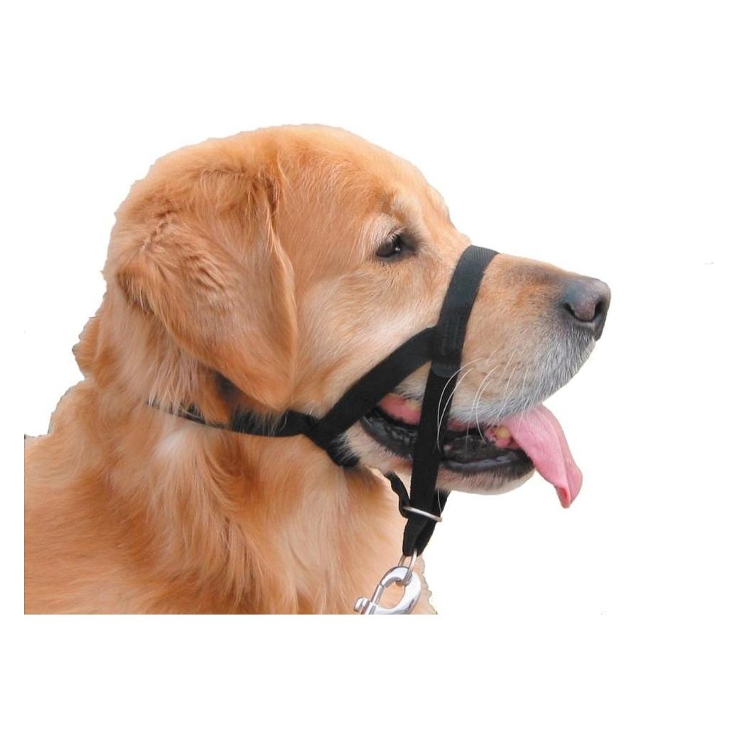 Nobby Gemakkelijke Leider (4, Hond), Kraag + Leiband
