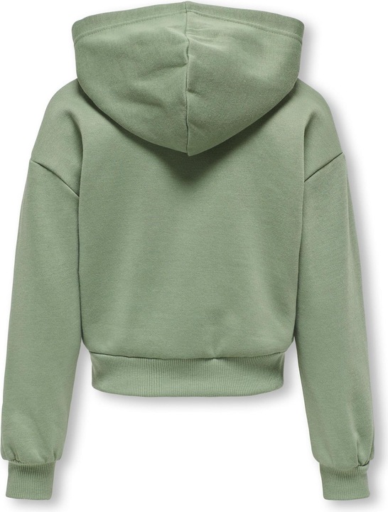 Produktbild Only KOGFAVE Sweatshirt Kapuzenpullover (110)