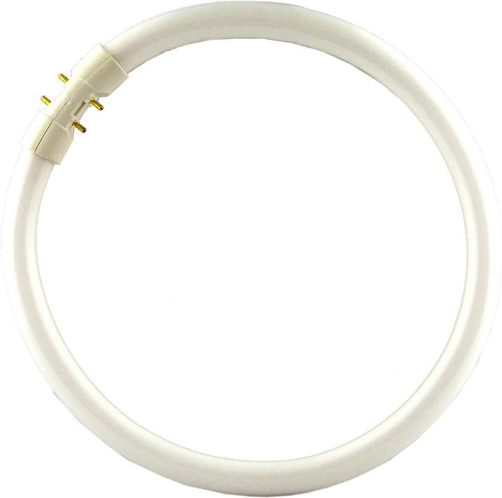 Philips Master TL5 Circular (2GX13, 60 W, 5000 lm, 1 x, G)