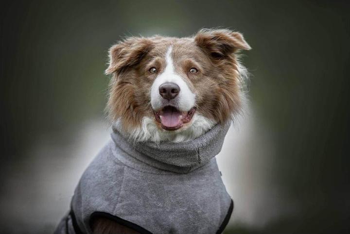 Produktbild Deek Pets Bademantel M, 54 cm, Anthrazit (M, Hundebademantel)