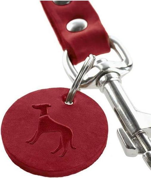 Actual product image Hunter leash (Dog)