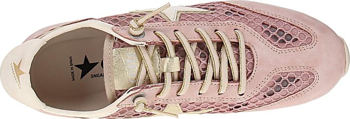 Image du produit Cetti C-1409 SRA V26 (37)