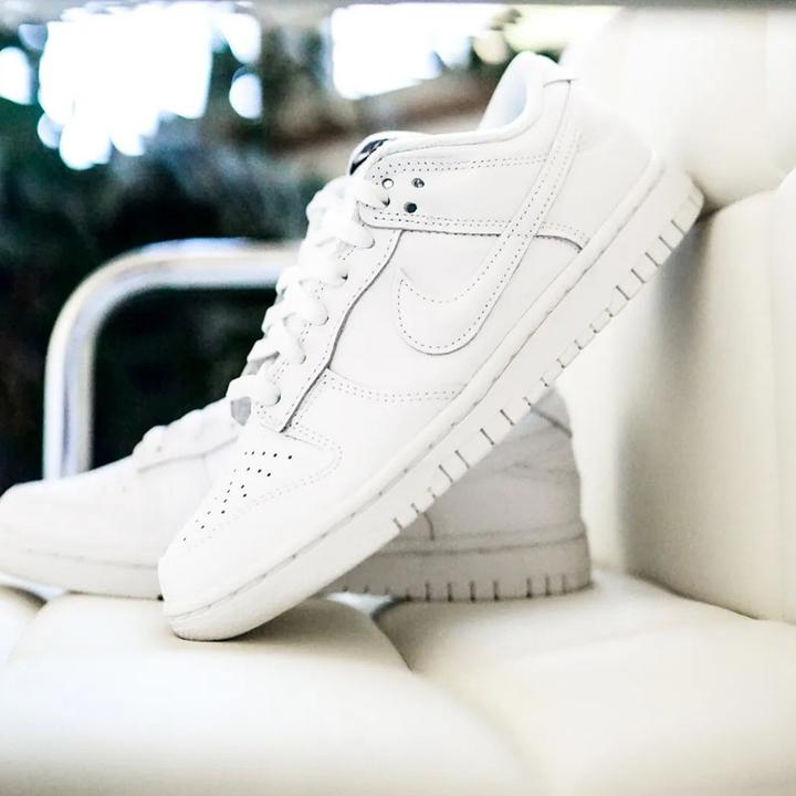 Image du produit Nike Dunk Low (39)