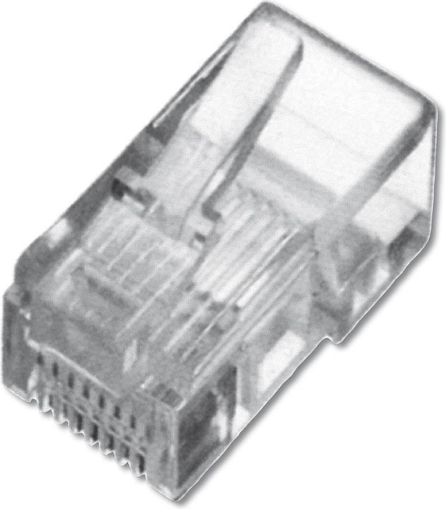 Digitus ASSMANN Modularstecker für Flachbandkabel 6P4C ungeschirmt (Netzwerkkabel Stecker)