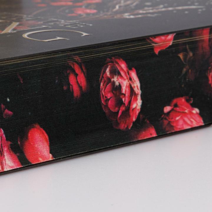 Produktbild Married into Magic: Deal with the Elf King (Deutsch, Elise Kova, 2025)