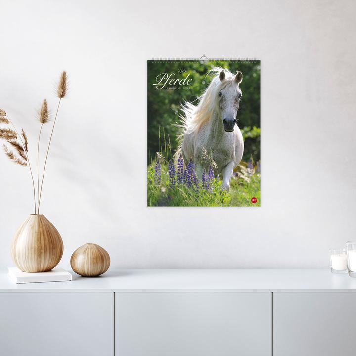 Produktbild Pferde Classics Posterkalender 2026