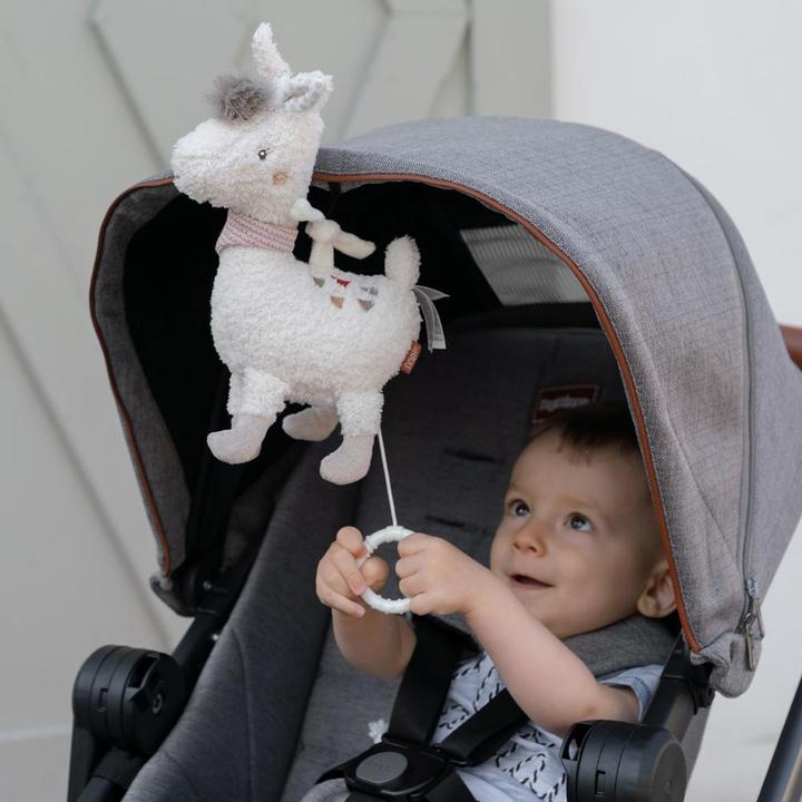 Actual product image Fehn Music box Lama