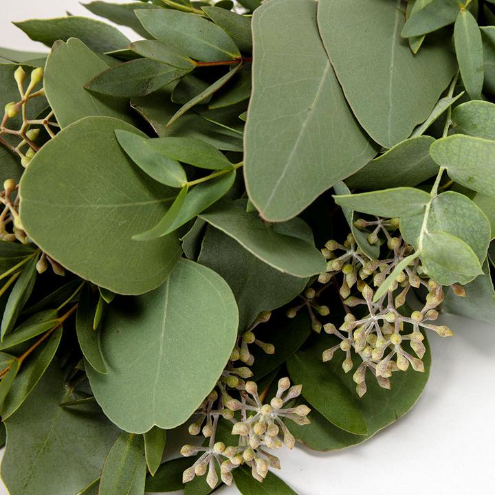 Image du produit VEG and the City Couronne de l'Avent en eucalyptus (40 cm)