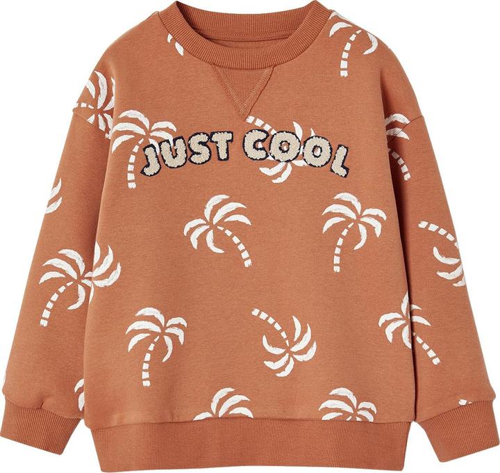 Produktbild Vertbaudet Jungen Sweatshirt mit Frottee-Motiv und Recycling-Polyester (158, 164)