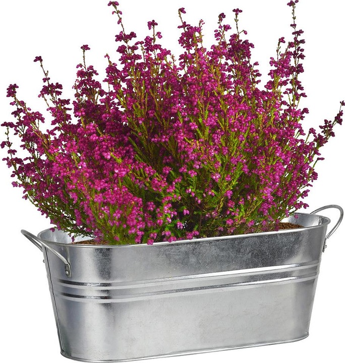 Produktbild Natura Punto 3 Pflanzenkästen aus Zink, oval, mit Henkel, unterschiedliche Grössen
