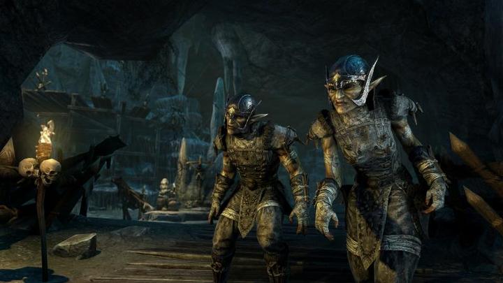 Actual product image Plaion The Elder Scrolls Online - Tamriel Unlimited (c1) (Xbox One X, Xbox Series X, IT)