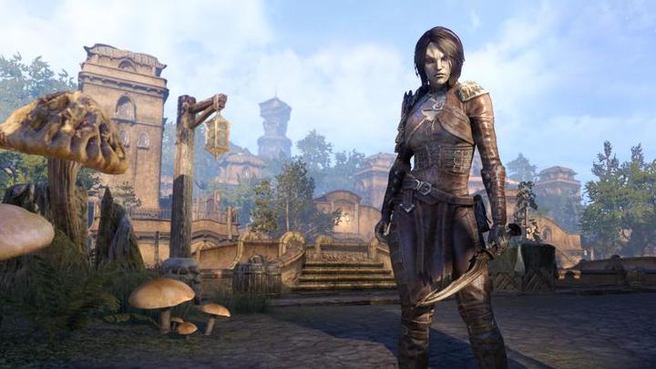 Actual product image Plaion The Elder Scrolls Online - Tamriel Unlimited (c1) (Xbox One X, Xbox Series X, IT)