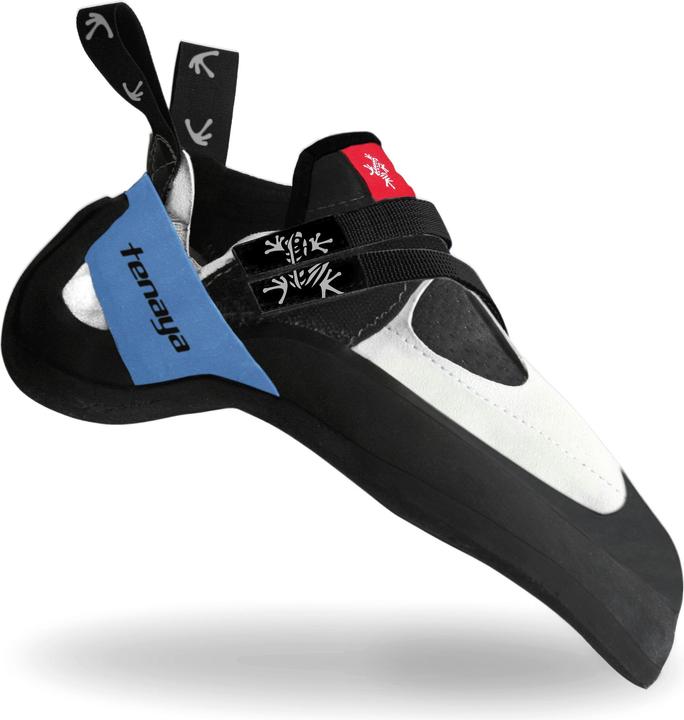 Tenaya Oasi climbing shoes