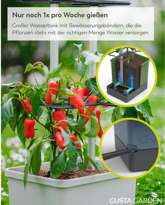 Actual product image Gusta Garden Charly Chilli XL