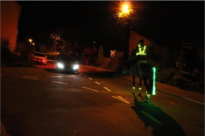 Image du produit Animal Light Eclairage LED de la queue Long 20