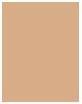 Actual product image Clarins Everlasting Youth Fluid - Honey 110 (110 Honey)