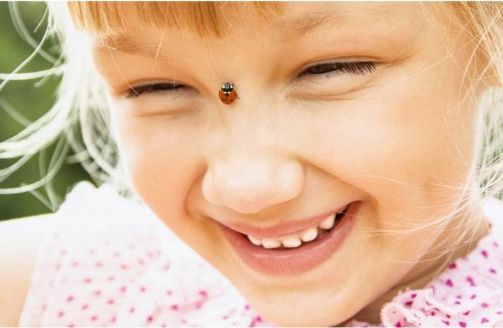 Actual product image Mein Raupenkasten Ladybird house (Ladybirds)